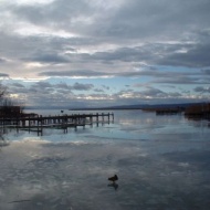 Fertő-táj Világörökség Magyar Tanácsa Egyesület Fertő-táj Világörökség Magyar Tanácsa Egyesület