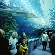 Tropicarium Budapest Tropicarium Budapest