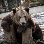 Pécs Zoo Pécsi Állatkert és Akvárium Terrárium