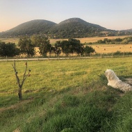 Bíróréti Állatsimogató Esztergom