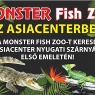 Monster Fish Zoo Akvárium és Terrárium Budapest