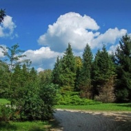 Bábolnai Arborétum Bábolnai Arborétum