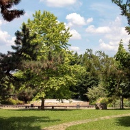 Gerenday-kert Arborétum Lábatlan