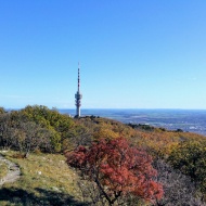 TV Torony és Kilátó Pécs