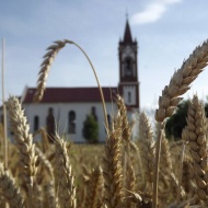 Falumúzeum Sóshartyán