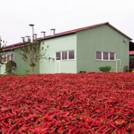 Paprika Múzeum Paprika Múzeum
