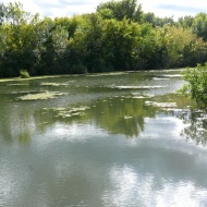 Tisza-tavi Vízisétány és Tanösvény