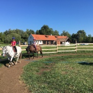 Idrányi Puszta és Szabadidőpark