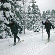 Bozsik Sífutó Iskola Bozsik Sífutó Iskola