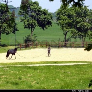 Epona Lovasfalu Epona Lovasfalu