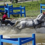 Kinizsi Park