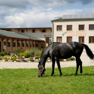 Pro Equus Lovaspark
