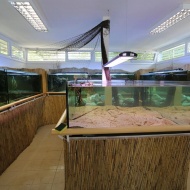 H2O Akváriumház Agárd