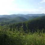 EGERERDŐ EGERERDŐ