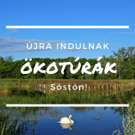Sóstó Látogatóközpont Székesfehérvár Sóstó Látogatóközpont Székesfehérvár