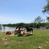 Keszthelyi Kutyás Park és Piknikkert Keszthelyi Kutyás Park és Piknikkert