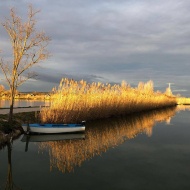 Horgászparadicsom És Szabadidőpark Börgöndpuszta