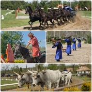Lázár Lovaspark Lázár Lovaspark