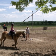 Kordik Farm Kecskemét