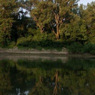 DALERD Délalföldi Erdészet Szeged DALERD Délalföldi Erdészet Szeged
