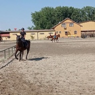 Horváth Lovassport Győrzámoly