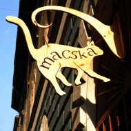 Macska Budapest