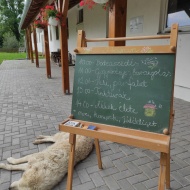 Gyógynövények Völgye ökológiai gazdaság Zalaszentlászló