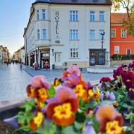 Hotel Domus  Collis**** Győr