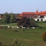 Rácz Tanya Panzió - Étterem Rácz Tanya Panzió - Étterem