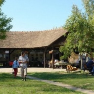 Tiszapart Camping Tiszapart Camping