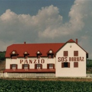 Sós Borház Panzió Sós Borház Panzió