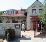 Borgaléria Panzió Tokaj Borgaléria Panzió Tokaj