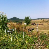 Sátormapuszta Biogazdaság