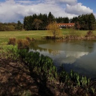Őrségi Patakparti Alpaka Panzió és Farm Kisrákos Őrségi Patakparti Alpaka Panzió és Farm Kisrákos
