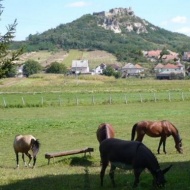 Darnói Lovastanya - Jurtaszálló Darnói Lovastanya - Jurtaszálló