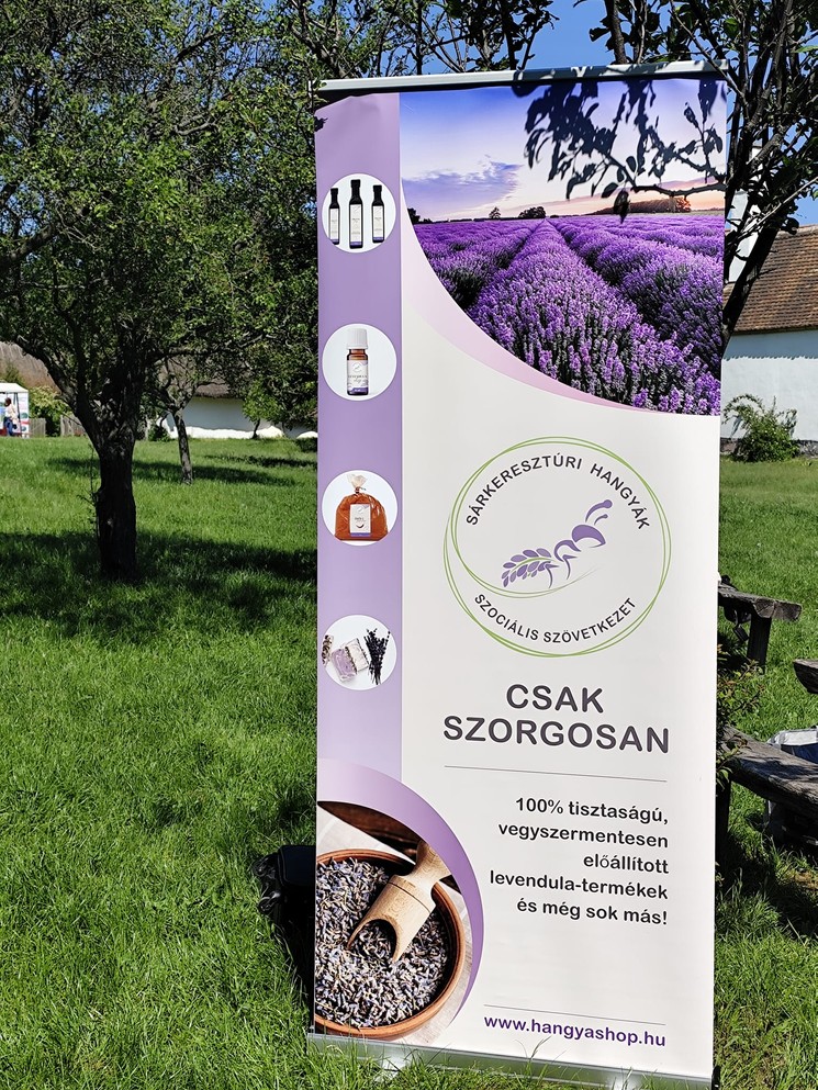 Levendulaszüret Sárkeresztúr 2025. Újra kinyit levenduláskertünk a szüretelni és illatolni vágyók előtt!