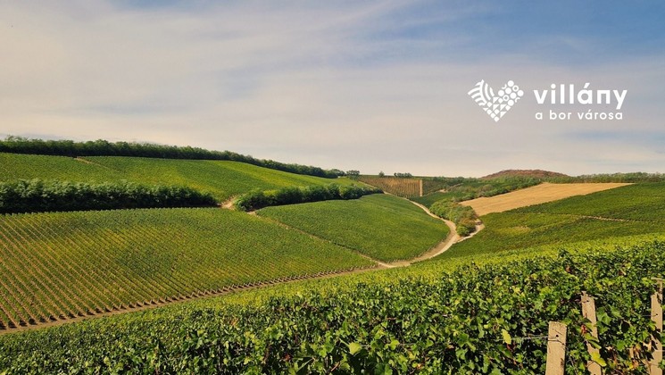 Villányi programok 2025 / 2026. Fesztiválok, rendezvények, események, jeles napok, ünnepek