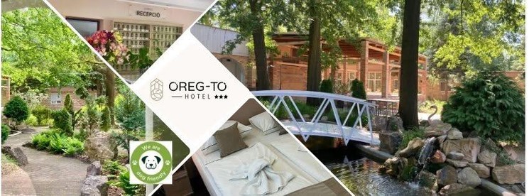 Hétvége Tatán, wellness pihenés az Öreg-tó Hotelben félpanziós ellátással
