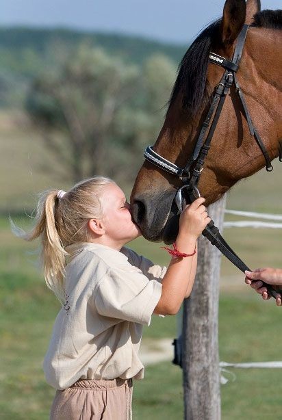 Lovas nyaralás gyerekeknek Móron wellness programokkal a Hétkúti Wellness Hotelben