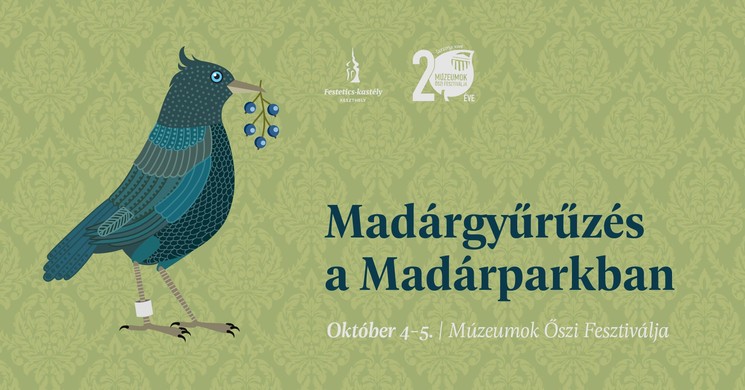 Madárgyűrűzés Keszthely 2025. Bemutató gyűrűzés a Madárparkban a madármegfigyelési világnap alkalmából 