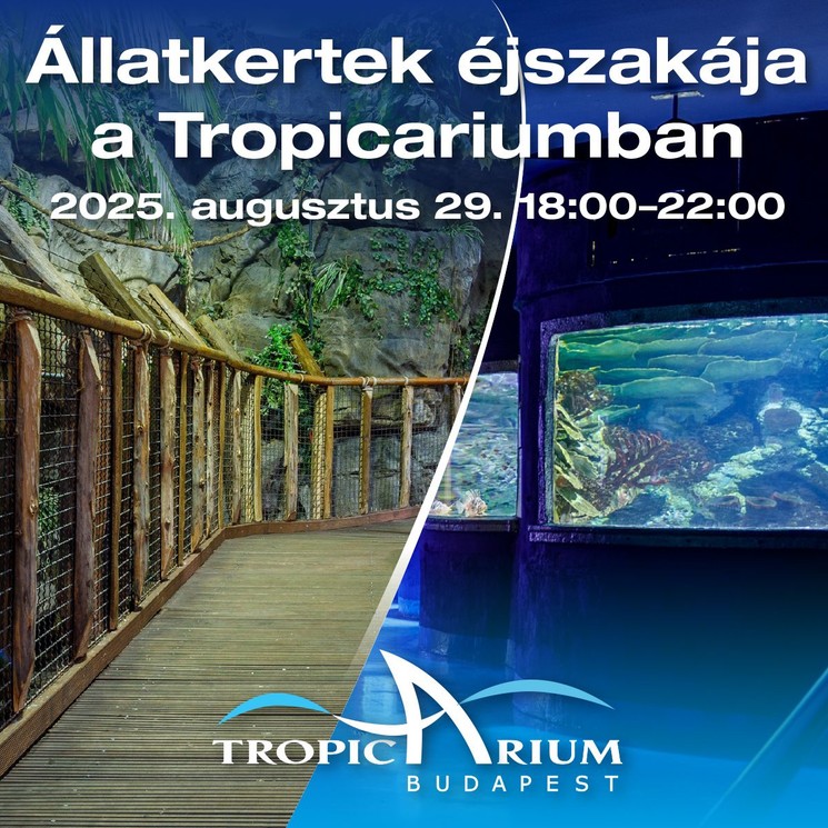 Állatkertek Éjszakája Tropicarium 2025 Budapest