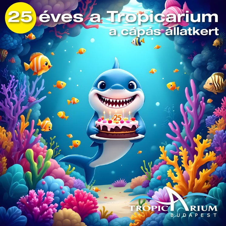 Tropicarium Születésnap Budapest 2025. Ünnepeljük együtt a 25 éves Tropicariumot