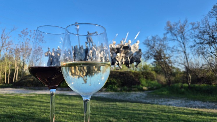 Borkóstoló program Budapest 2026 - Fel vörösök, fehérek!