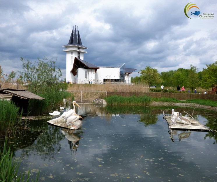 Családi hétvége 2026 Tisza-tavi Ökocentrum Poroszló