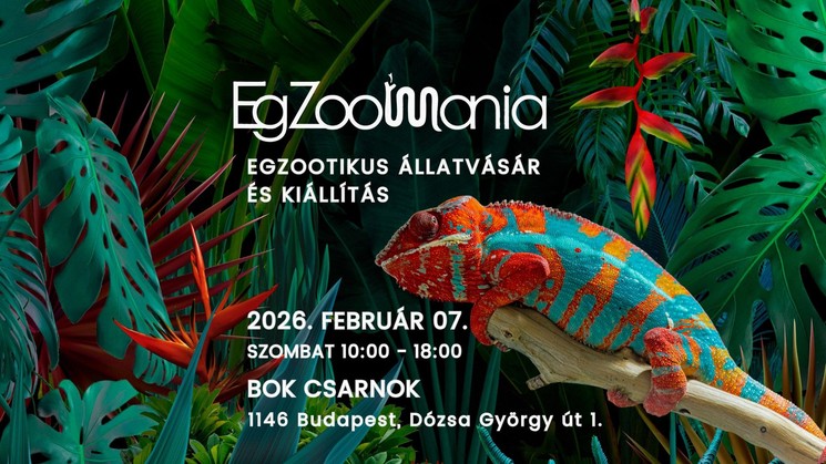 BOK csarnok programok 2026 Budapest. Események és online jegyvásárlás