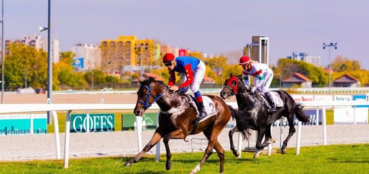 Budapesti lóversenyek városnéző séta 2026 – Tétre, helyre, befutóra! 