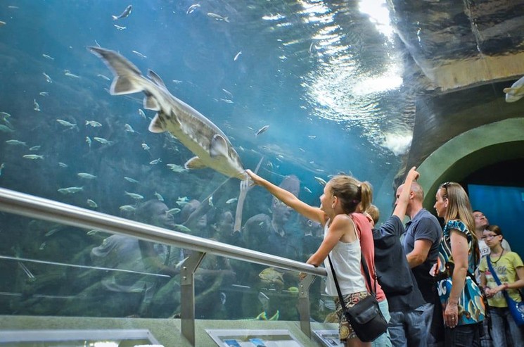 Poroszlói programok 2026. Fesztiválok, rendezvények, események a Tisza-tónál