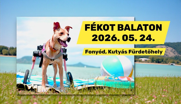 Kutyás programok 2026 - Események, rendezvények