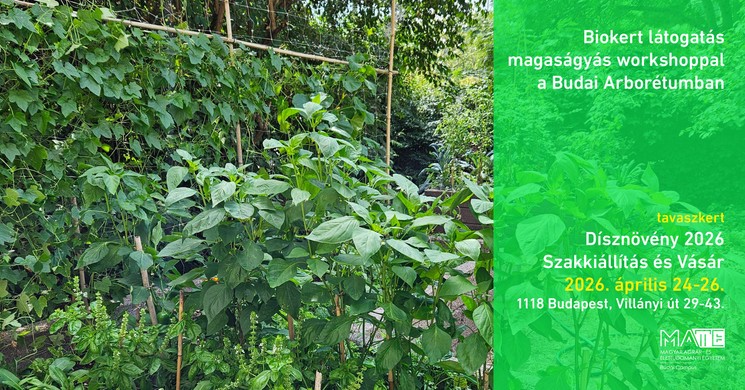 Biokert-látogatás 2026 Budapest - Magaságyás workshop a Budai Arborétumban
