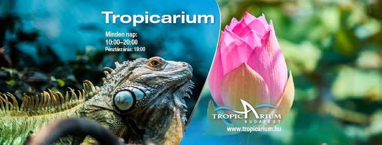 Campona élmények 2026 Budapest - Felejthetetlen programok